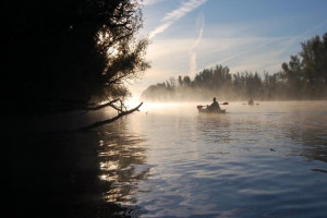 photo gallery image 01