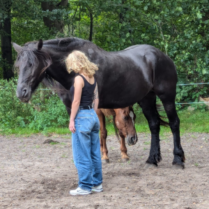 photo gallery image 01