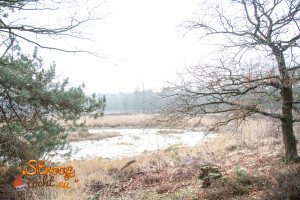 photo gallery image 01