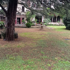 photo gallery image 01