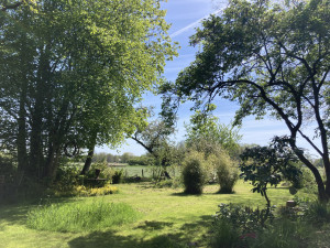 photo gallery image 01