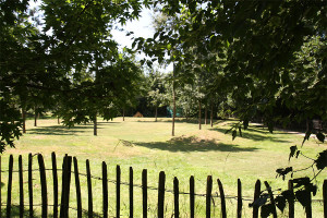 photo gallery image 01