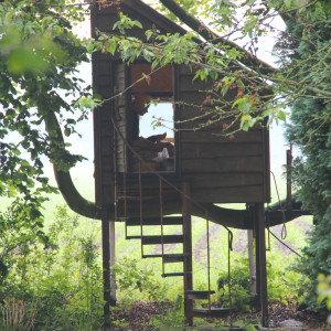 photo gallery image 01