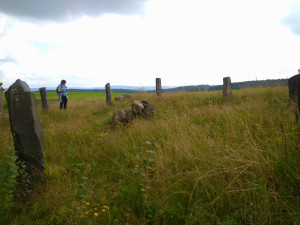 photo gallery image 01