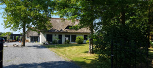 photo gallery image 01