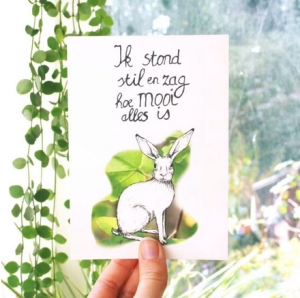 photo gallery image 01