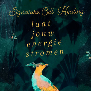 photo gallery image 01