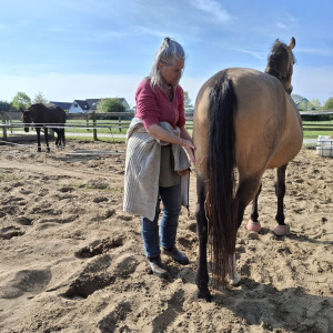 photo gallery image 01