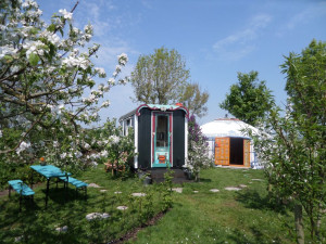 photo gallery image 01