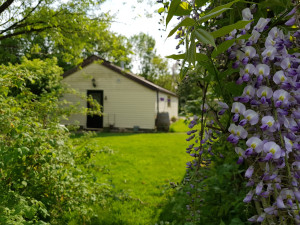 photo gallery image 01