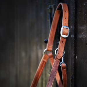 photo gallery image 01