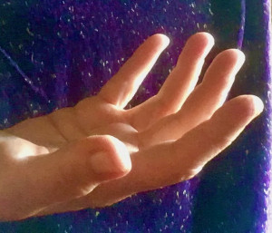 photo gallery image 01