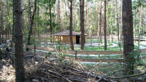 photo gallery image 01