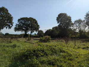 photo gallery image 01