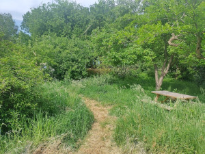 photo gallery image 01