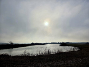 photo gallery image 01
