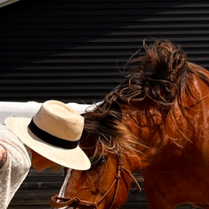 photo gallery image 01