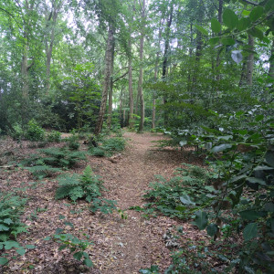 photo gallery image 01