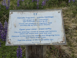 photo gallery image 01