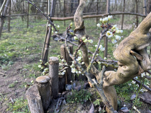 photo gallery image 01
