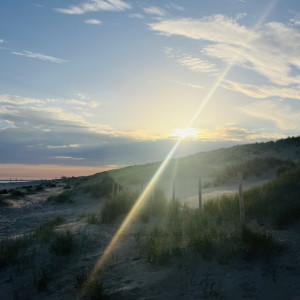 photo gallery image 01