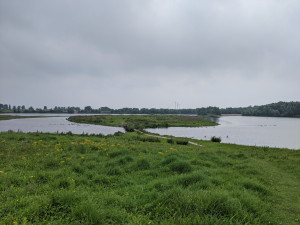 photo gallery image 01
