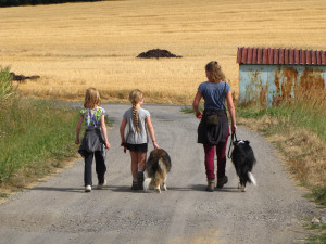 photo gallery image 01