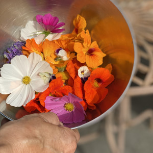 photo gallery image 01