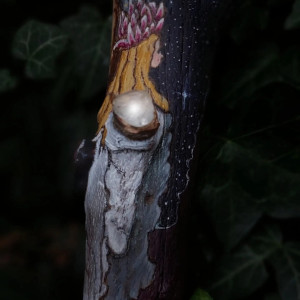 photo gallery image 01
