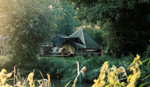 photo gallery image 01