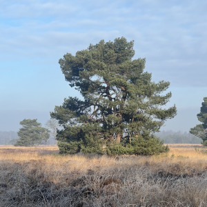 photo gallery image 01