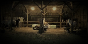 photo gallery image 01