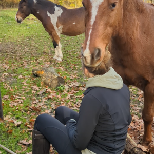 photo gallery image 01