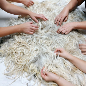 photo gallery image 01