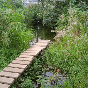 photo gallery image 01