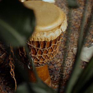 photo gallery image 01