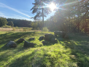 photo gallery image 01