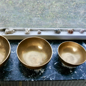 photo gallery image 01