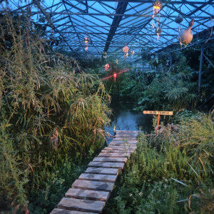 photo gallery image 01