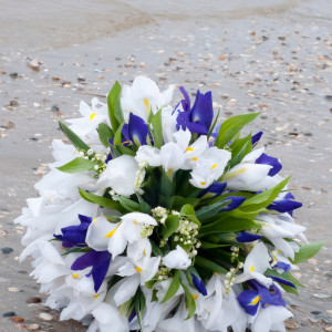 photo gallery image 01