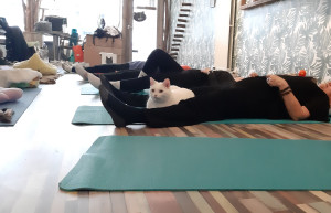 photo gallery image 01