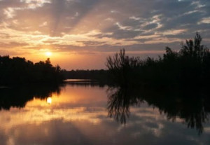photo gallery image 01