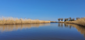 photo gallery image 01