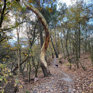 photo gallery image 01