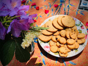 photo gallery image 01