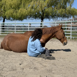 photo gallery image 01