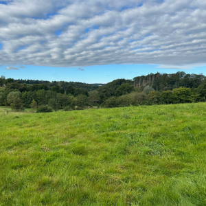 photo gallery image 01