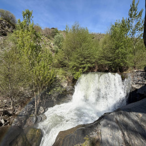 photo gallery image 01