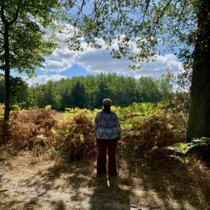 photo gallery image 01