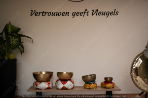 photo gallery image 01